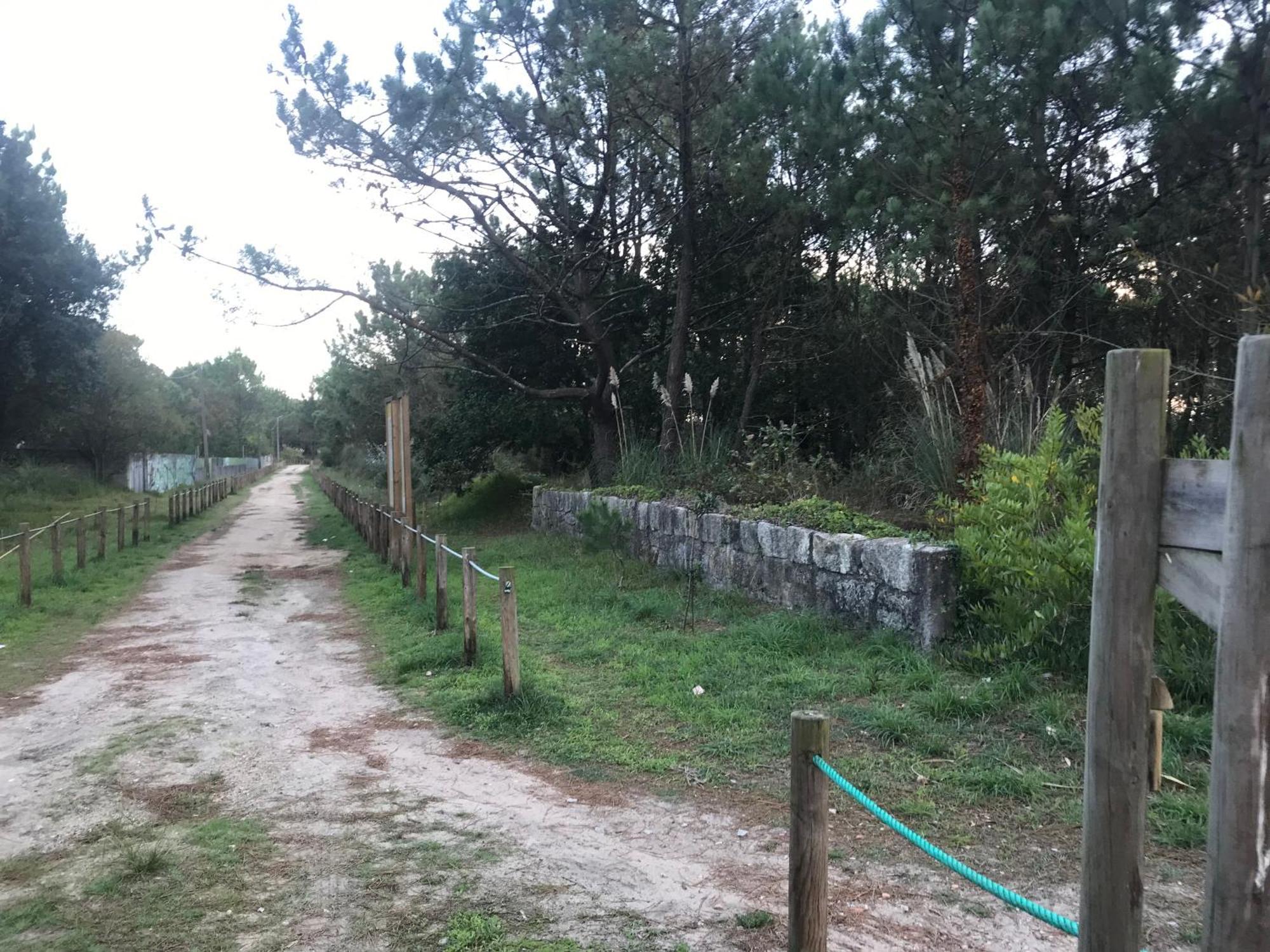 Arvore Cozy Com Jardim Екстер'єр фото