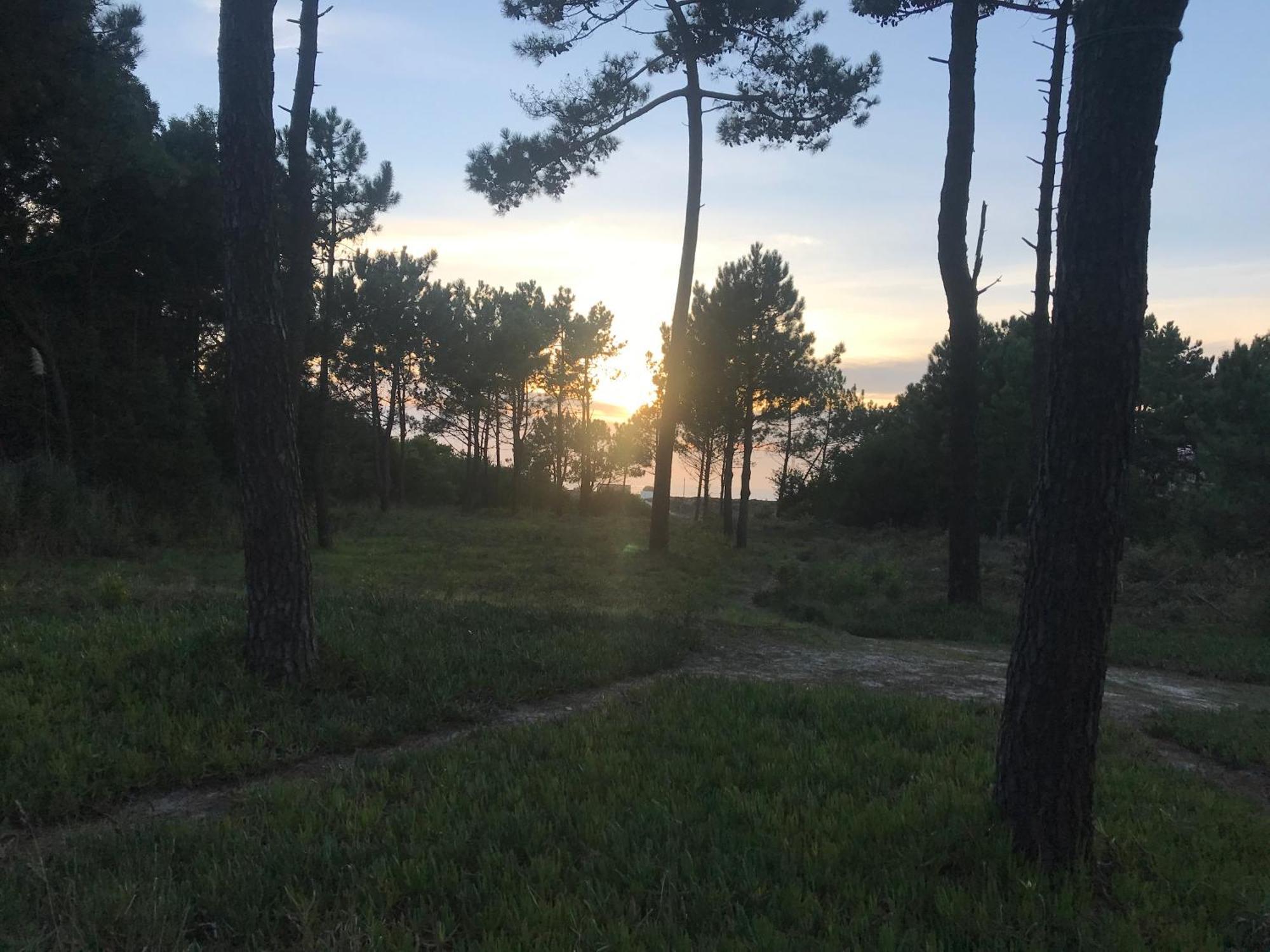 Arvore Cozy Com Jardim Екстер'єр фото