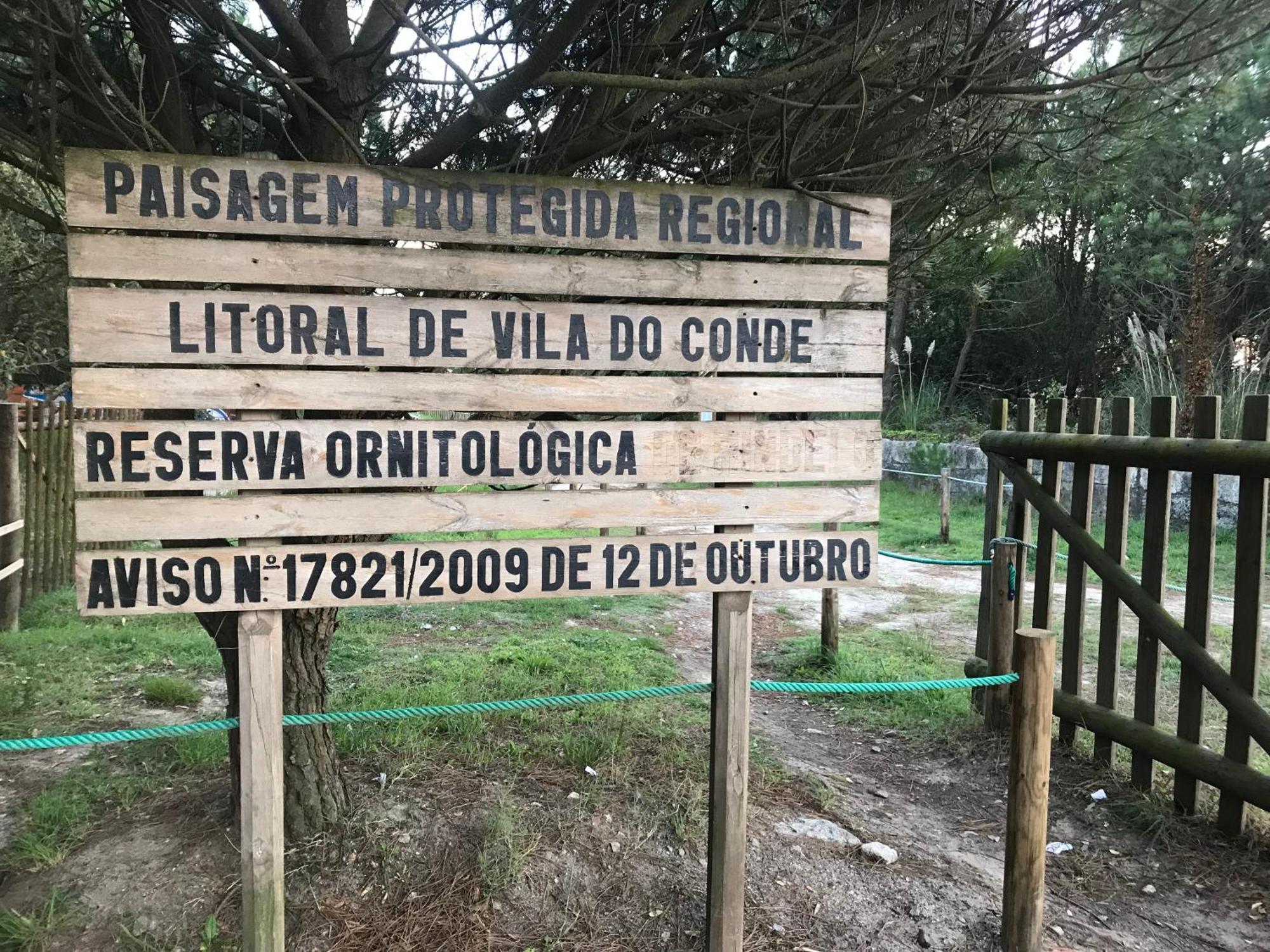 Arvore Cozy Com Jardim Екстер'єр фото