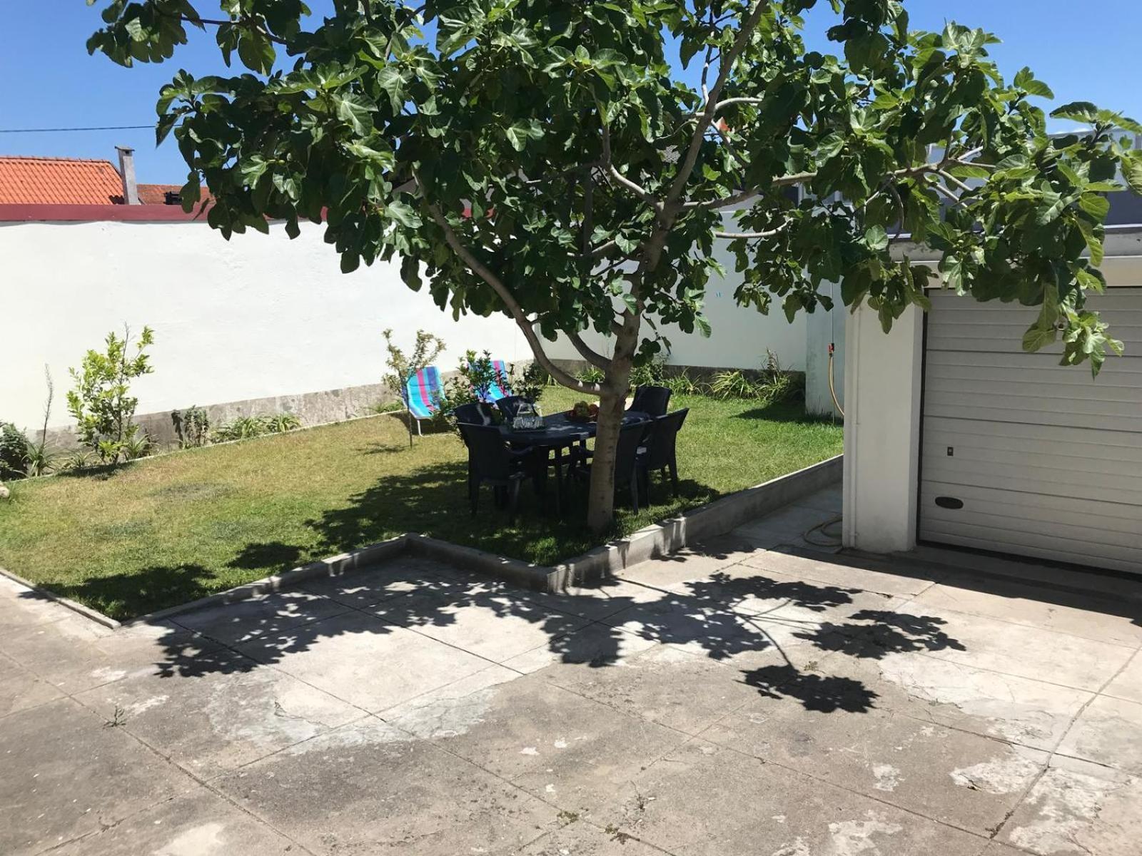 Arvore Cozy Com Jardim Екстер'єр фото